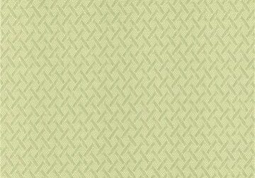 60bebe3d06092440685c87c7_608ad883b5d689863e6c7762_shower_shield_palm