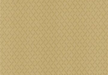 60bebe3d060924a8c95c87c6_608ad89f9a1a9b9d2c7b07ef_shower_shield_buff