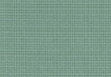 60c7ade257ff0b1787263d74_608b12d502fc1b85dbceaf95_unite_peacock_full